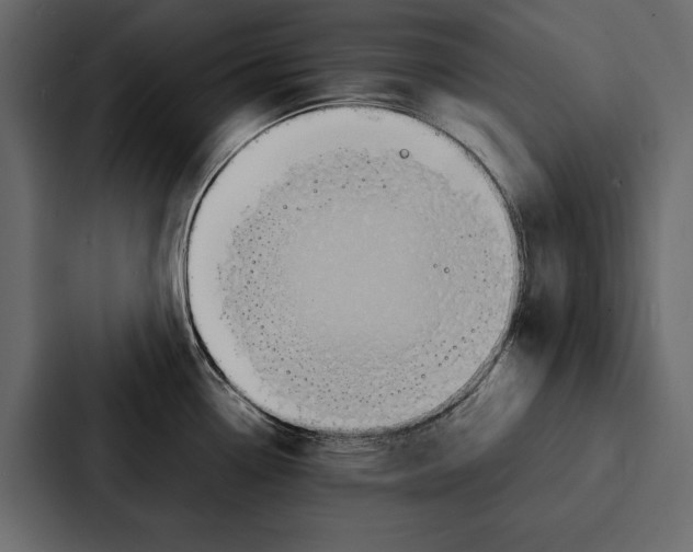 X0000086791338200705111808