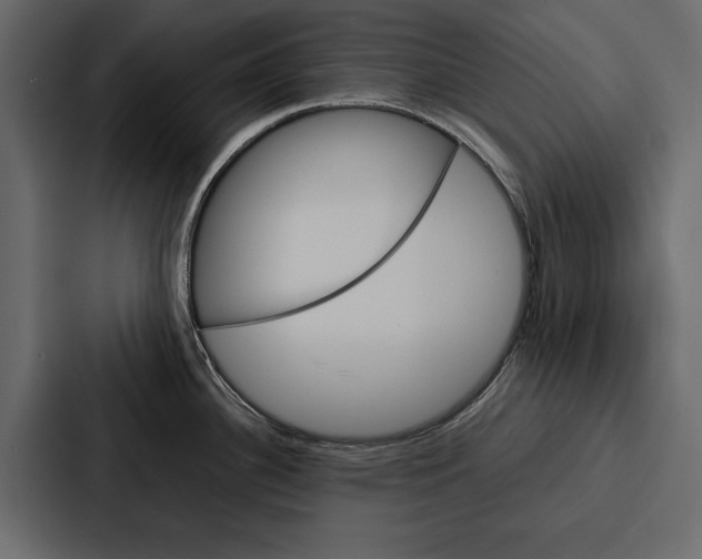 X0000086791340200705111808