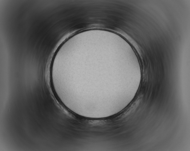 X0000086791341200705111808