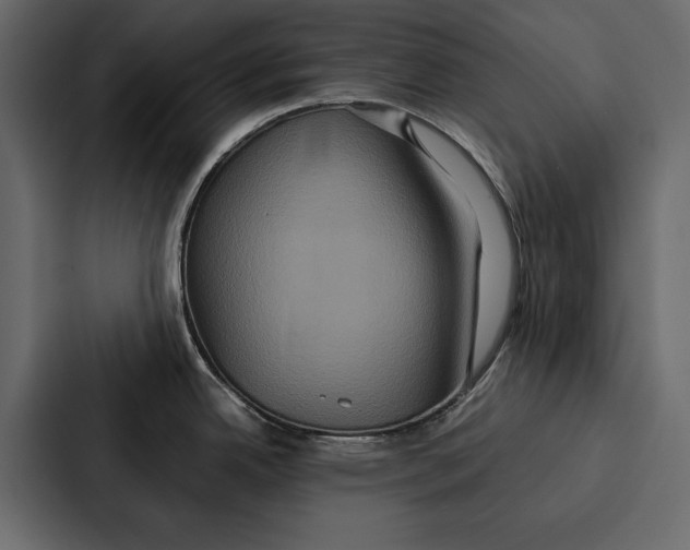 X0000086791342200705111808