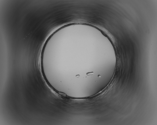 X0000086791343200705111808