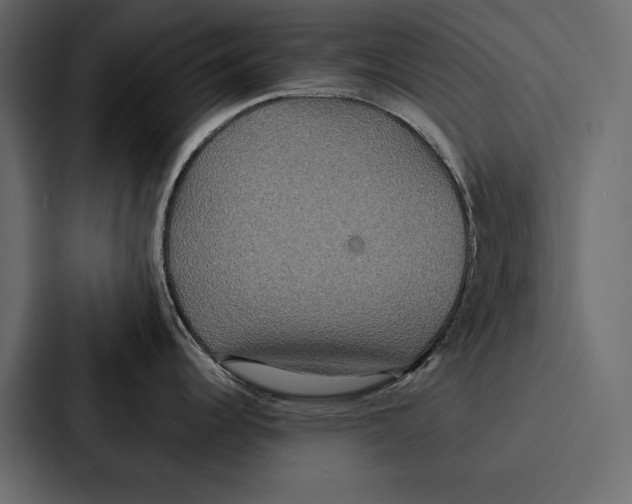 X0000086791344200705111808