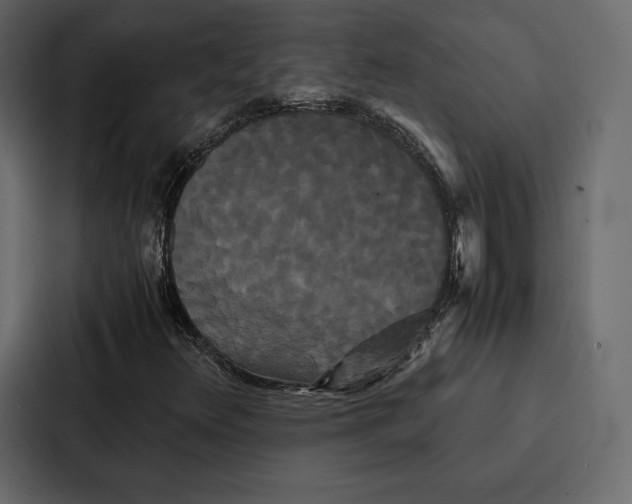 X0000086791348200705111807