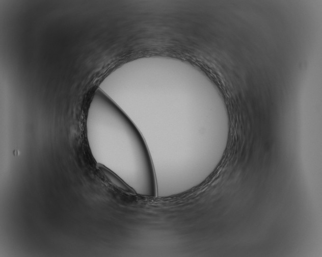 X0000086791349200705111807