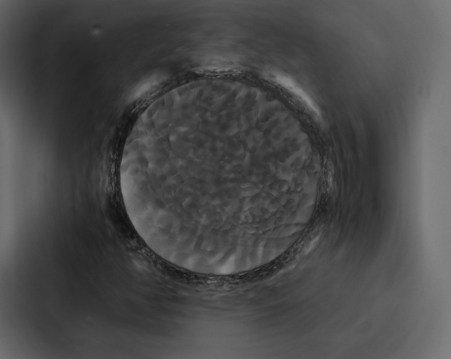 X0000086791350200705111807