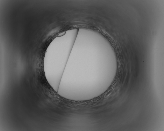 X0000086791351200705111807