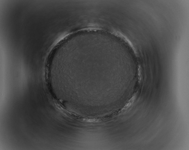 X0000086791352200705111807