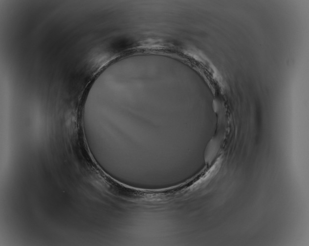 X0000086791353200705111807