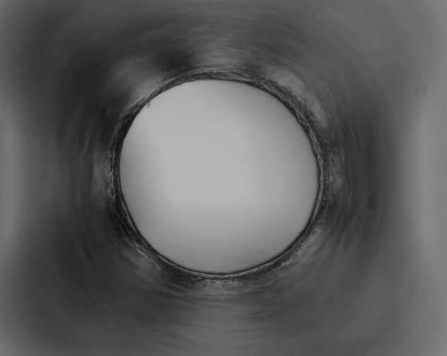 X0000086791354200705111807