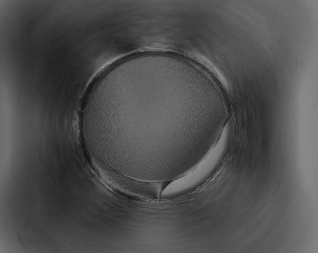 X0000086791356200705111807