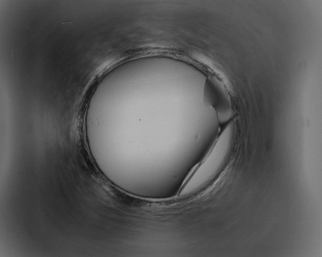 X0000086791357200705111807