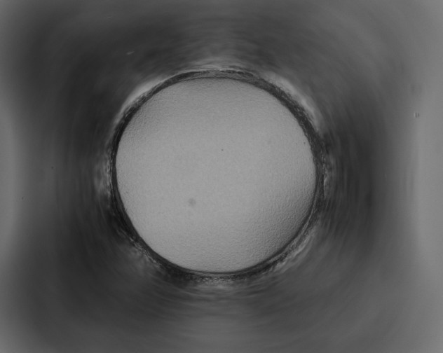 X0000086791358200705111807