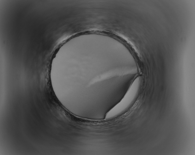 X0000086791359200705111807