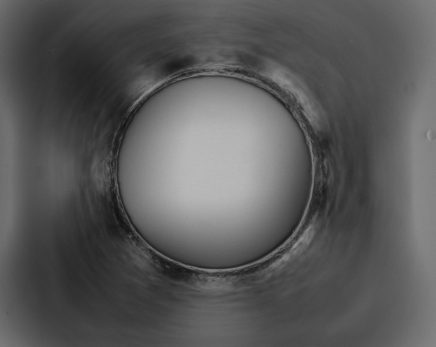 X0000086791361200705111807