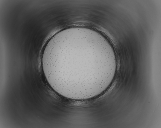 X0000086791362200705111807