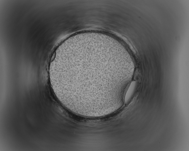 X0000086791363200705111807