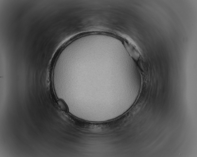 X0000086791364200705111807