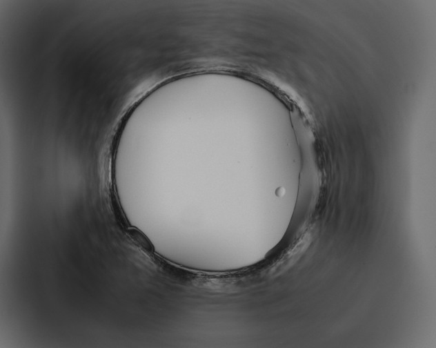 X0000086791365200705111807