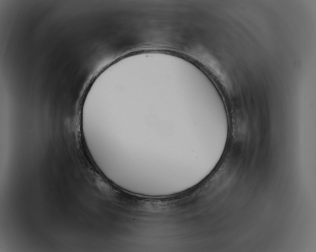 X0000086791366200705111807