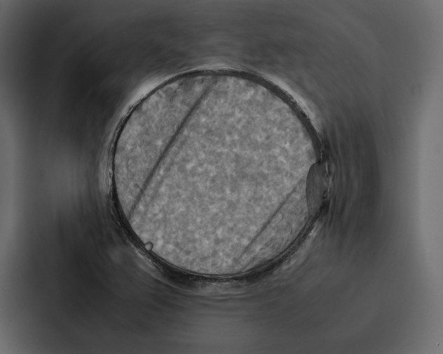 X0000086791367200705111807