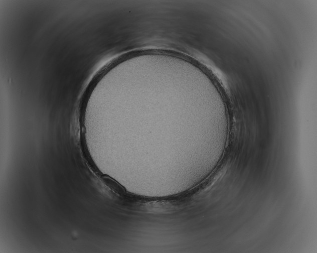 X0000086791368200705111807