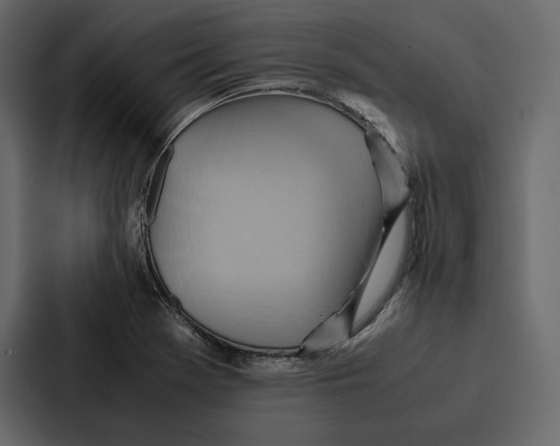 X0000086791369200705111807