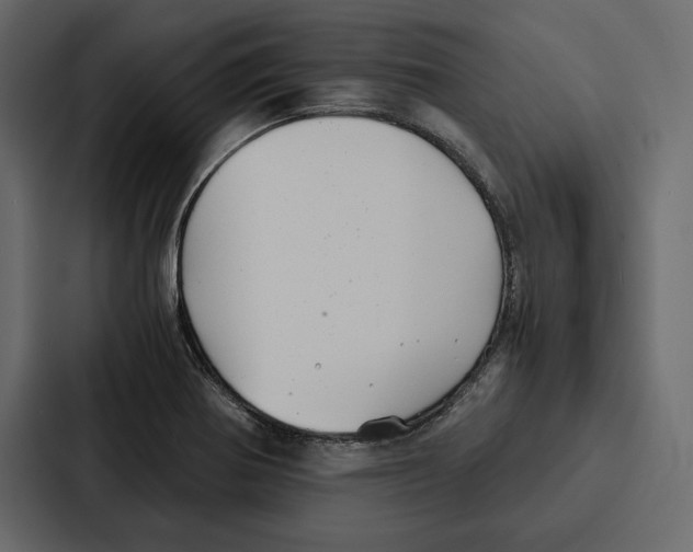 X0000086791370200705111807