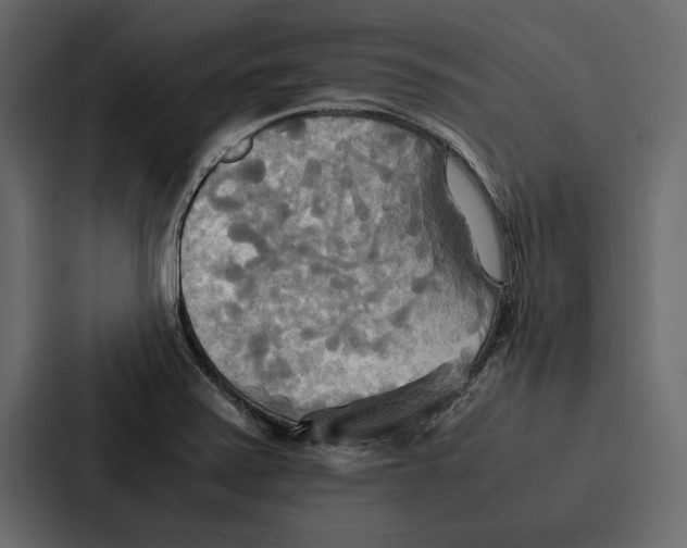 X0000086791371200705111807