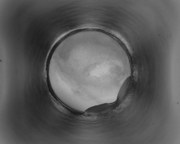 X0000086791372200705111807