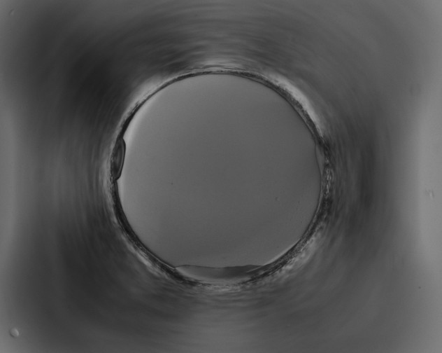 X0000086791373200705111807