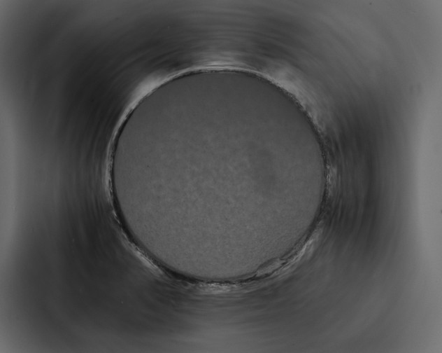 X0000086791374200705111807