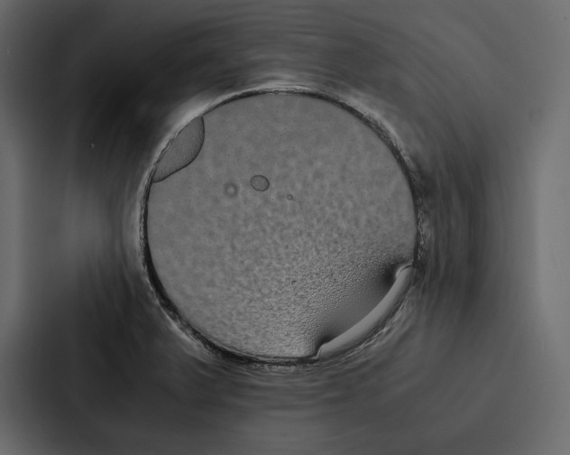 X0000086791375200705111807