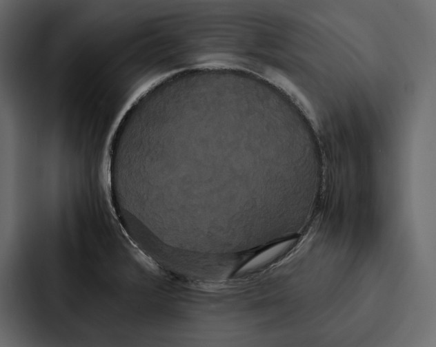 X0000086791376200705111807