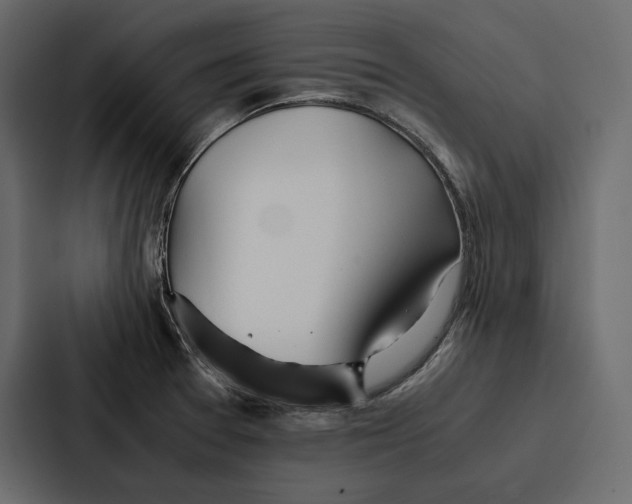 X0000086791377200705111807