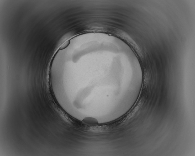 X0000086791378200705111807