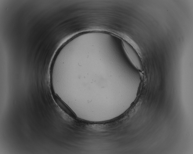 X0000086791380200705111807