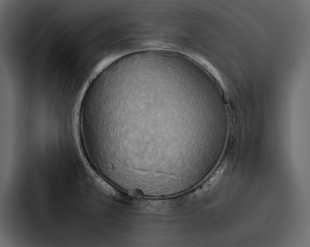 X0000086791381200705111807