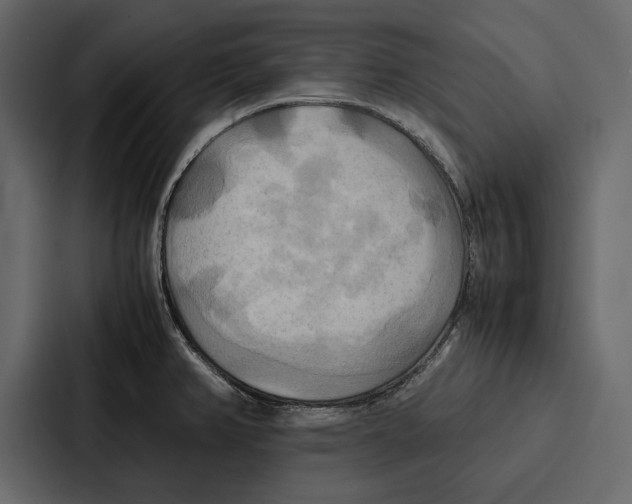 X0000086791382200705111807