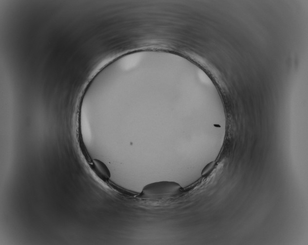 X0000086791383200705111807