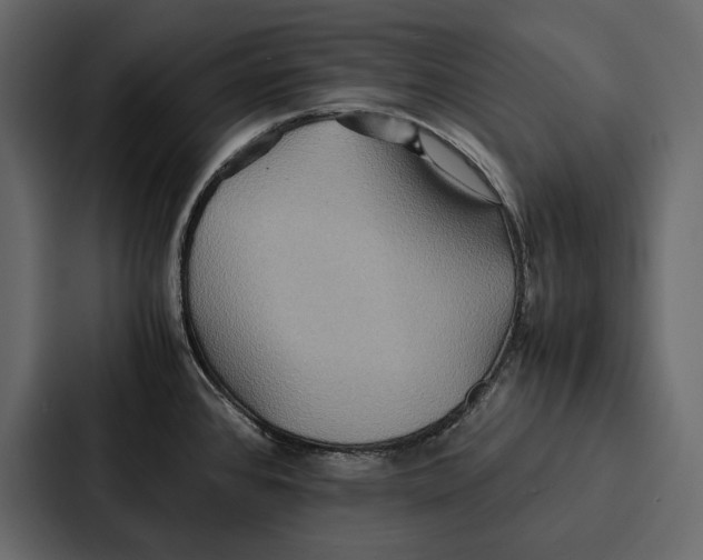 X0000086791384200705111806