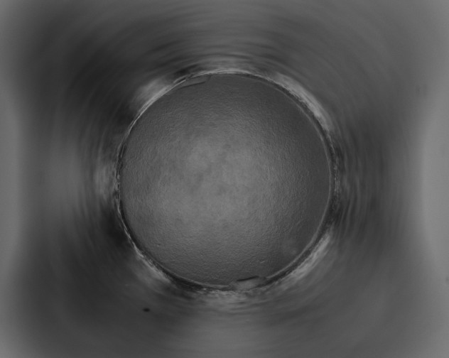 X0000086791385200705111806