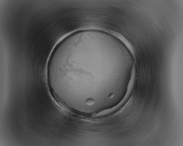 X0000086791388200705111806