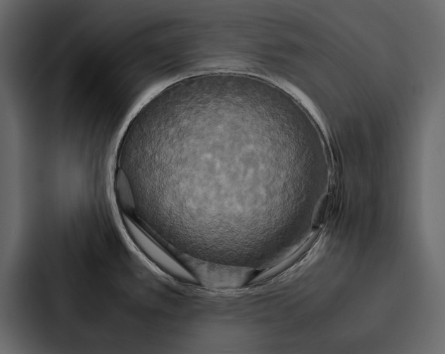 X0000086791389200705111806