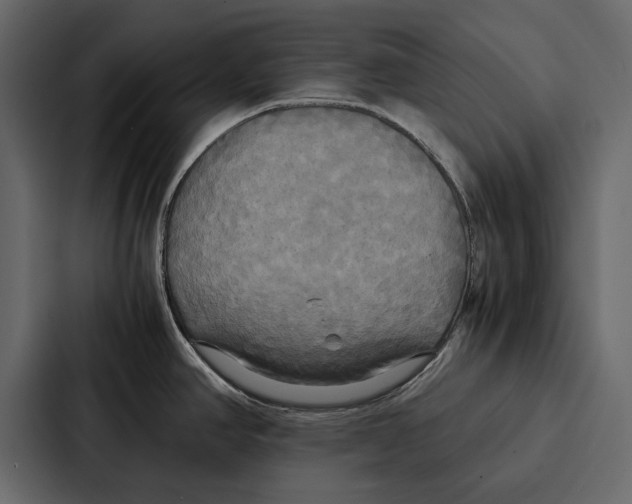 X0000086791390200705111806