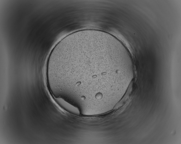 X0000086791391200705111806