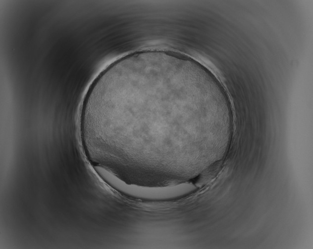 X0000086791392200705111806