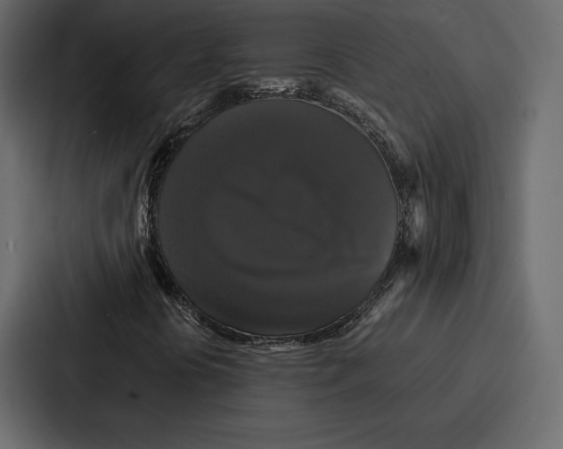 X0000086791394200705111806