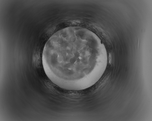 X0000086791395200705111806