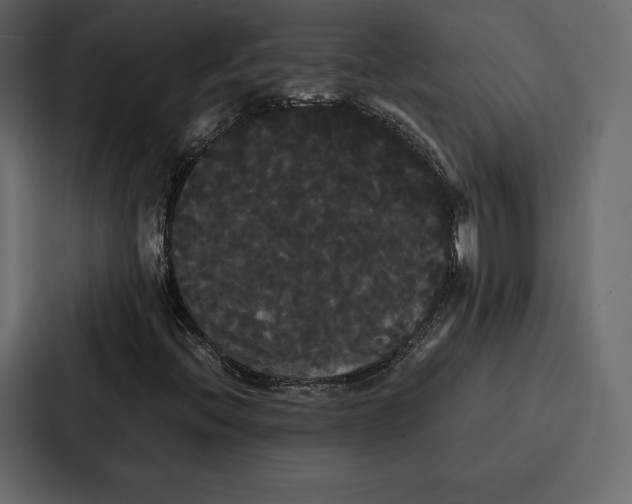 X0000086791396200705111806