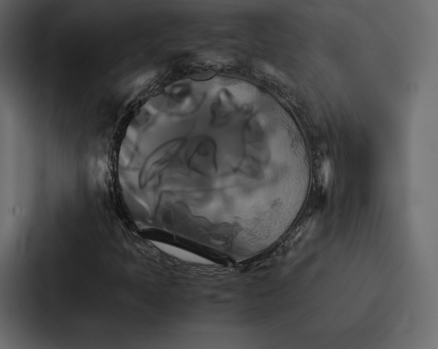 X0000086791397200705111806